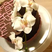 Orchid moth - birthday cake