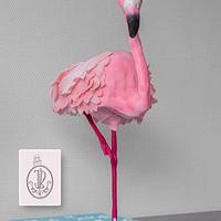 Flamingo Flamingo