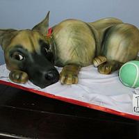 3D German Shepherd dog cake