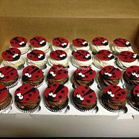 Ladybug Cake and Cupcakes