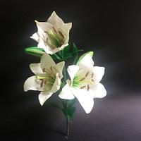Lily of  Easter