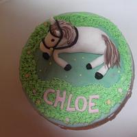 Horse Themed Cake