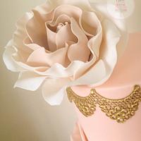 Blush and Gold 