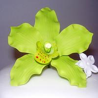 my first attempt to make a gumpaste orchid.