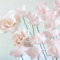 Pink Lisianthus & Hydrangea
