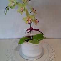 An orchid cake 