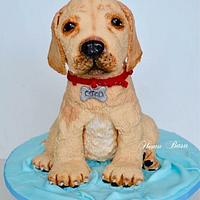 Labrador puppy cake 