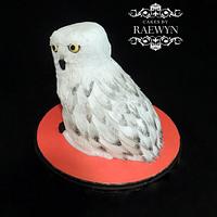 Hedwig from Harry Potter