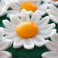 Bouquet of daisies cake