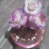 Log and Roses 