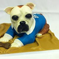 Dog Cake wearing a football shirt