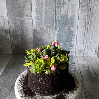 Colorfull plant cake