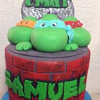 TNT -Turtle Ninja birthday cake