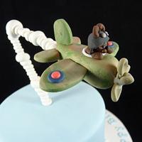 Spitfire Cake
