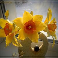 sugar daffodils