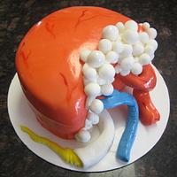 Kidney cake