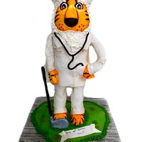Mr.Tiger the surgeon