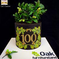 Oak Furniturland Cake