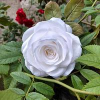 Wafer paper rose