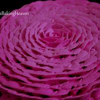 Rose petal cake!!