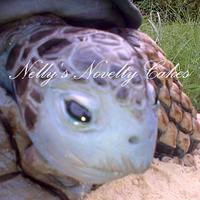 Tortoise:))