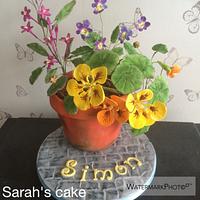 Flower Pot Cake Flower Pot Cake