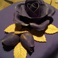 Purple roses