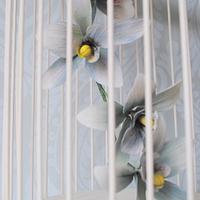 Orchids in a bird cage