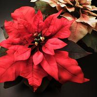 Poinsettia Red and Rose - Cold Porcelain