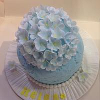 Blossom and lace cake