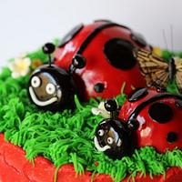 Ladybugs in the Grass