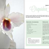 Orquidea Cattleya - Orchid Cattleya Gumpaste 