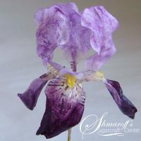 Wafer paper Iris