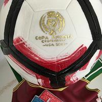 Copa America 2016 Soccer ball