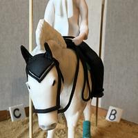 Dressage pony and rider