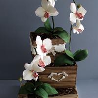Orchid moth cake for my mom - Decorated Cake by mamadu - CakesDecor