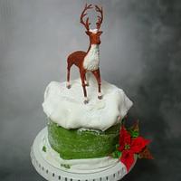 Winter cake Winter cake