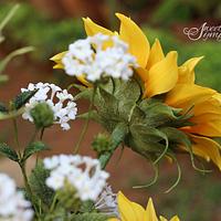 Sunflower Calyx