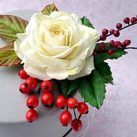 White rose with berries