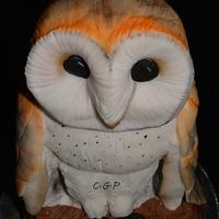 Owl "effraie"