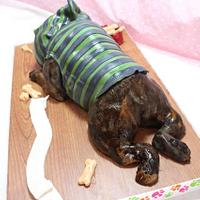 French bulldog cake ?