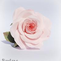 Simple rose..