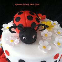 Lady Bug Themed Cake