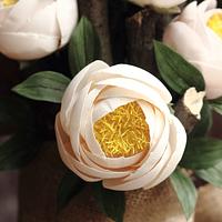 OPEN PEONY WITH CUPPED PETALS