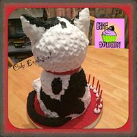 3D kitten cake