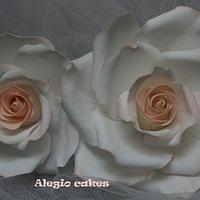 Flowers Flowers