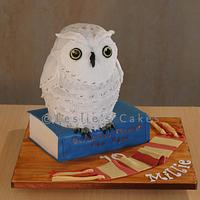 Hedwig Owl sculpted cake