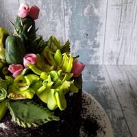 Colorfull plant cake