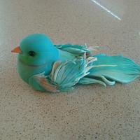 sweet little blue bird in a cage