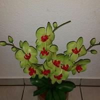 Green Orchids....